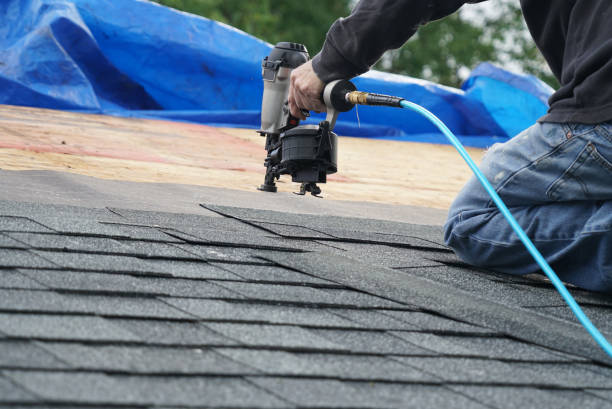 Best Roof Waterproofing Services  in Memphis, FL