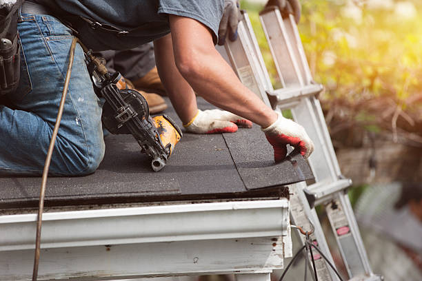 Best Commercial Roofing Services  in Memphis, FL