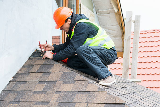 Best Roof Leak Repair  in Memphis, FL