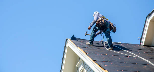 Best Shingle Roofing Installation  in Memphis, FL
