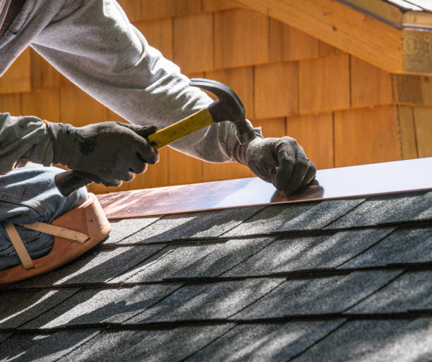 Roof Gutter Cleaning in Memphis, FL